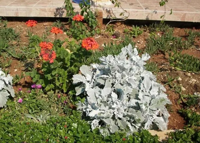 In With Terrace, Air Conditioning, Wi-fi, Washing Machine * Pirovac